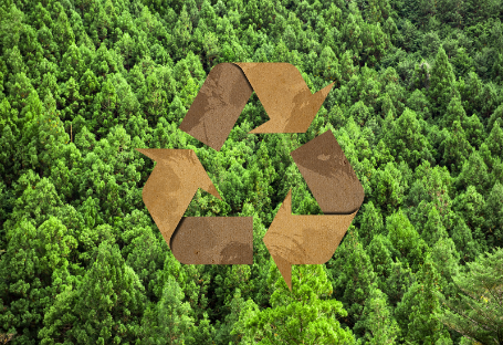 FSC & EUDR & PEFC Guide for Disposable Catering Supplies Procurement